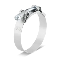 R.G. Ray T-Bolt Clamp | NORMA Group main product image