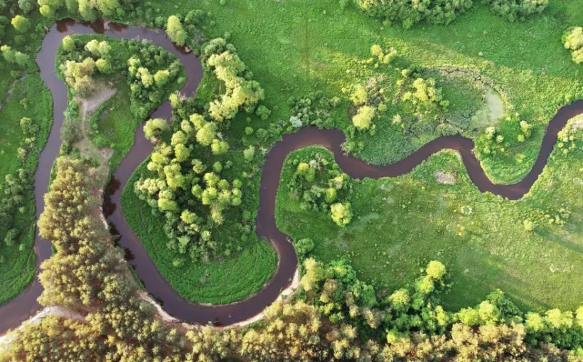 Headerbild River aerial view